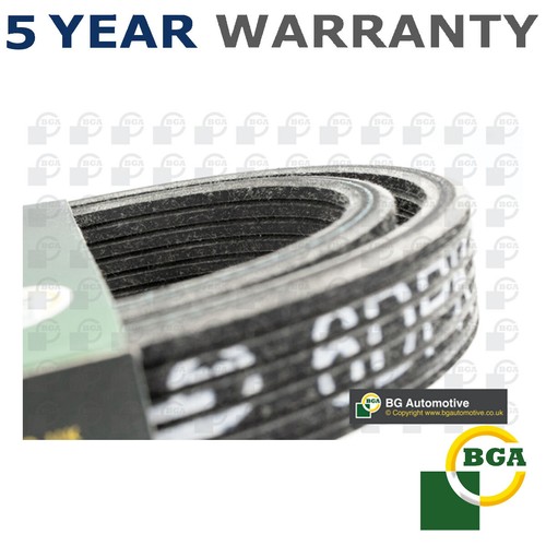 Bga ribbed drive belt - bga, fits