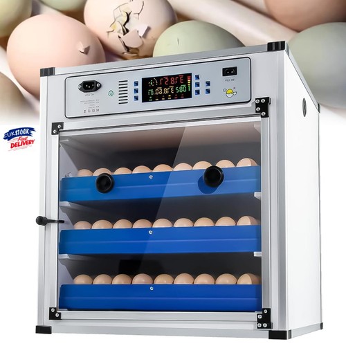204x egg incubator digital - 204x, incubator-digital