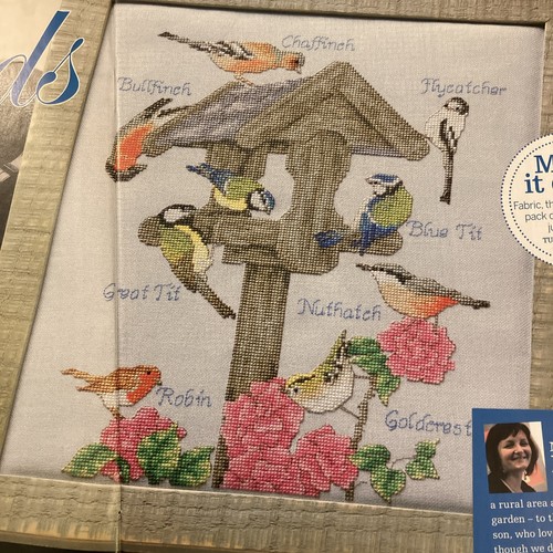 Birdhouse goldcrest bullfinch