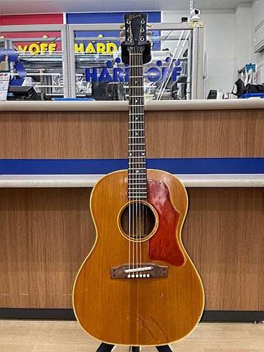 Gibson acoustic guitar 01 - b-25,