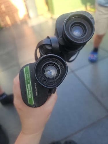 Greens swift coayed - swift, optics