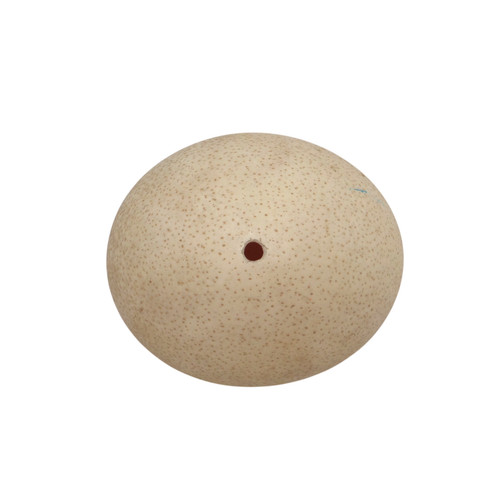 Replica ostrich egg speckled - replica,