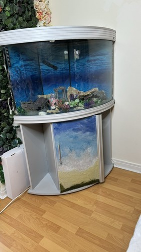 Big aquarium fish - big, tank