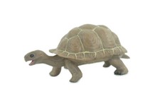 Galapagos Giant Tortoise Toy