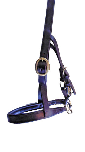 English leather headcollar
