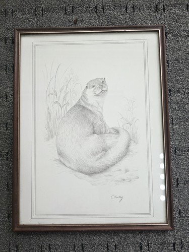 Vintage varley otter pencil - varley,