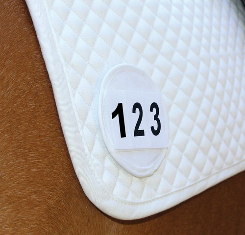 Equetech saddle cloth number - equetech,