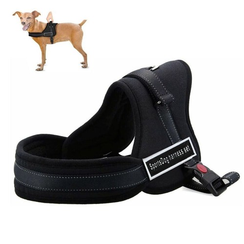 Reflective dog harness - reflective, soft