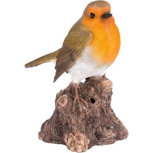 Vivid arts singing robin - singing,