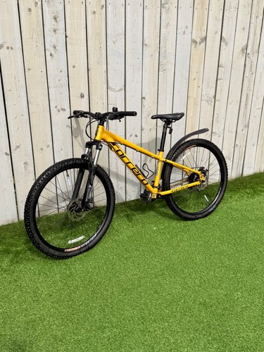 Carrera vengeance mountain
