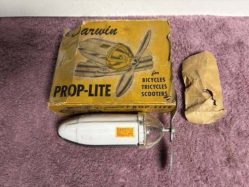 Nos 1950 darwin - , 1950's