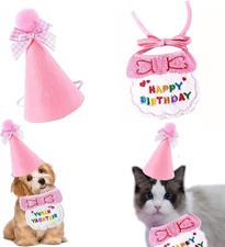 Cat Birthday Hat, Dog Birthday