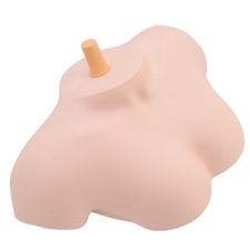 ˜Female Shoulder Model For