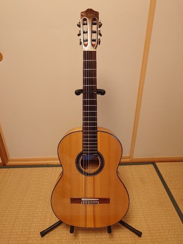 Cordoba flamenco guitar - cordoba,