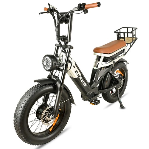 2000w dual motor - 48v, electric