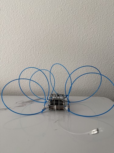 Weighted crab snare with - weighted,