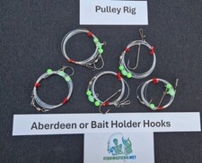 1 Hook Pulley Rig 5 pack  Sea