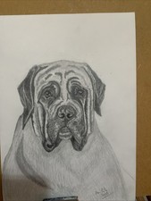 Hand Drawn Original Picture Of