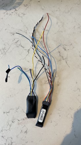 Ghost vehicle immobiliser - ghost,