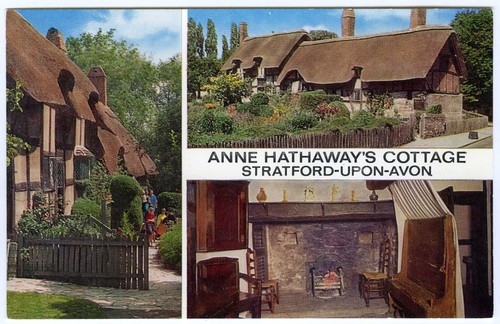1970s salmon postcard anne - salmon,