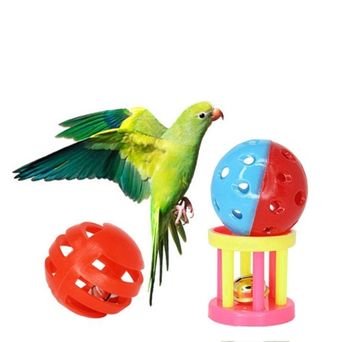 Parrot chewing toy - parrot,
