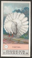 OGDENS-FOWLS PIGEONS & DOGS