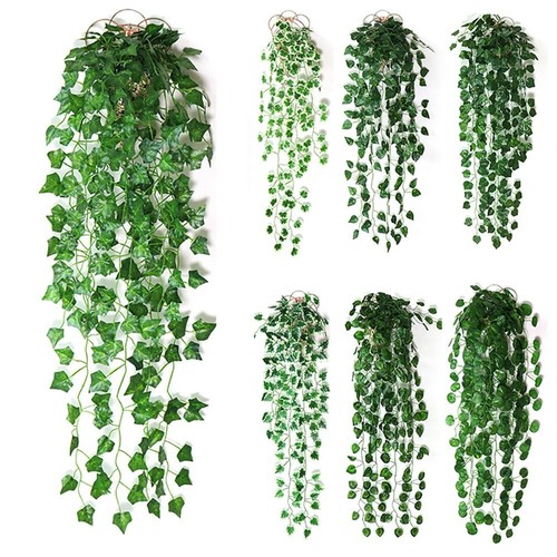Home decor foliage - foliage, trailing