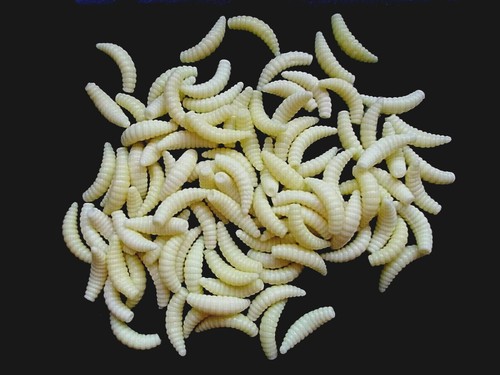 Pcs maggots imitation 2cm - maggots,imitation,,