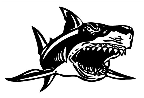 Shark vinyl sticker funny - , car