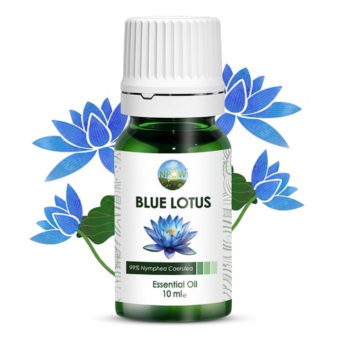 Npow blue lotus essential oil - blue,