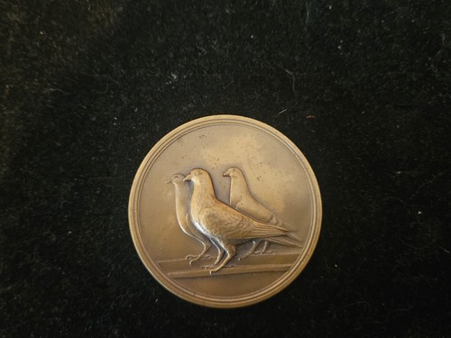 Publio morbiducci bronze - publio,