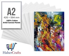 A2 Canvas Panel Stretched