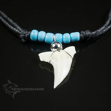 REAL SHARK TOOTH PELAGIC