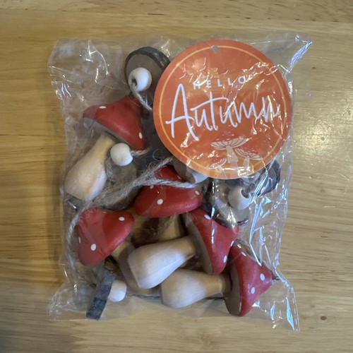 Mushroom toadstool hello - mushroom,
