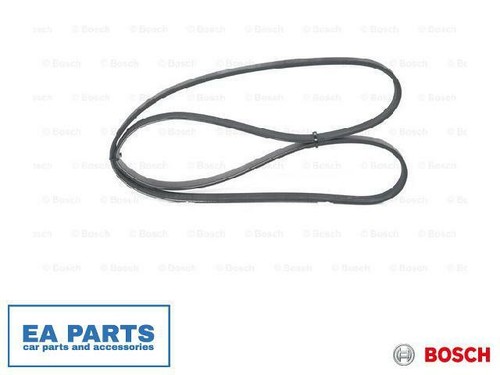 Ribbed belts for nissan - belts,