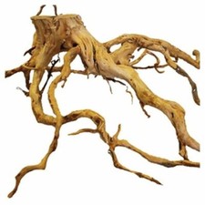 Azalea root natural aquarium - azalea,