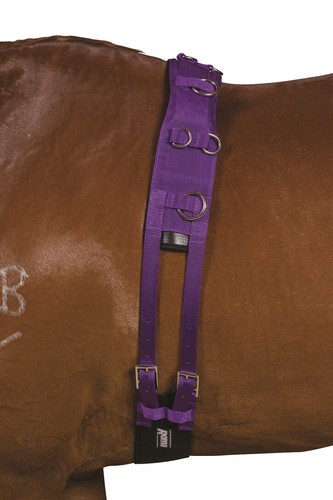 Kincade deluxe equigrip lunge - kincade,