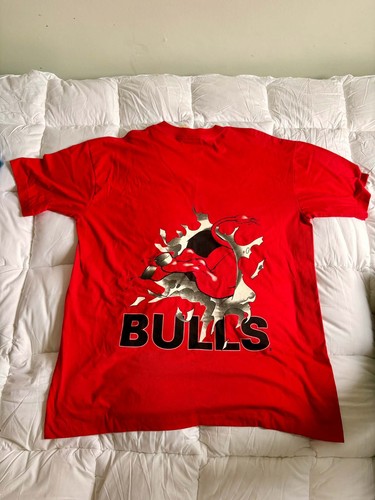 Vintage chicago bulls shirt - chicago, t-shirt