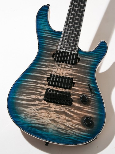 Mayones regius v24 - v24, 7