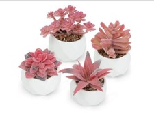 Artificial Pink Succulents Plants Indoor Decor Ceramic pots Pack of 4