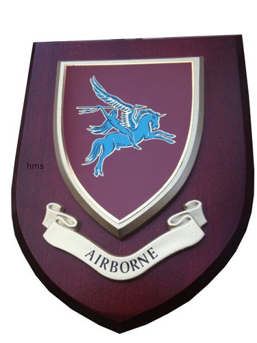 Airborne parachute regimental - parachute,