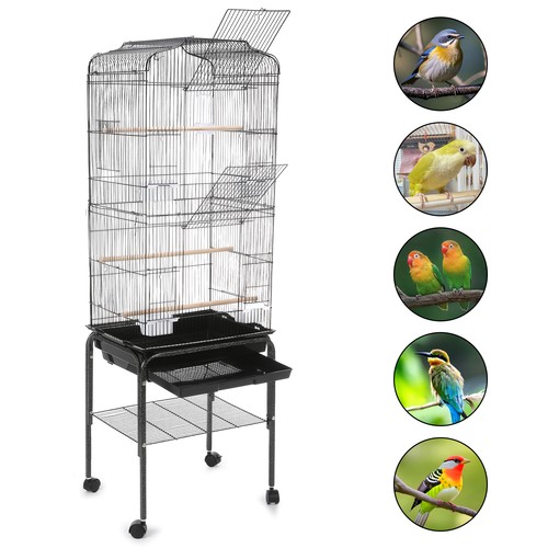 Extra large bird - extra, cage