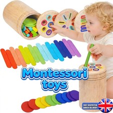 Color Sorting Montessori