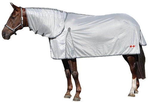 Horse rug zilco econo - rug,