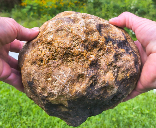 Huge kentucky geode - kentucky,