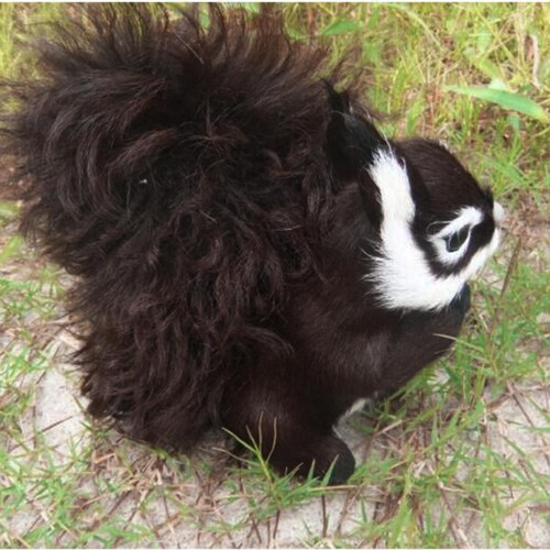 Artificial animal feather - animal,