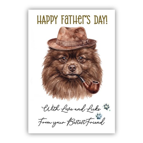 Brown pomeranian father - brown, father’s