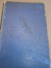 The Blue Fairy Book: Andrew Lang