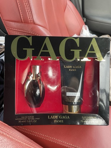 Lady gaga fame - lady,