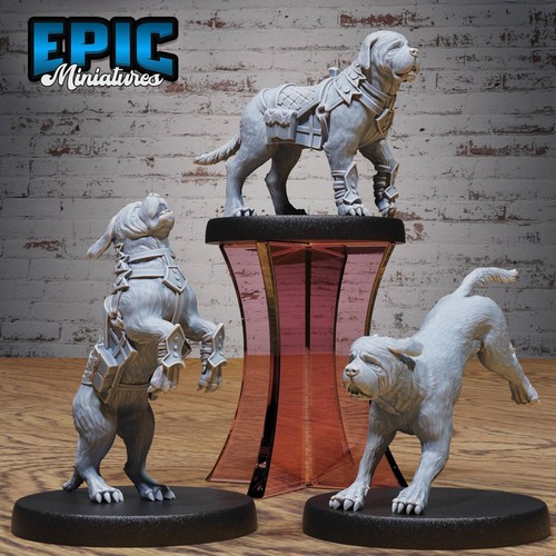 Raid dog dungeons and - d&d,